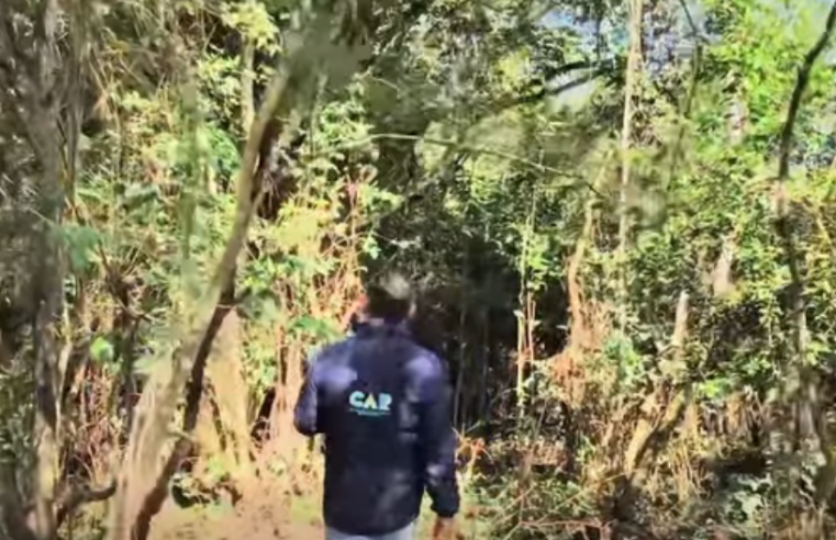 Autoridades capturan a tres personas por |tala ilegal| en bosque seco tropical de |Beltrán| + Video