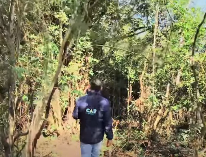 Autoridades capturan a tres personas por |tala ilegal| en bosque seco tropical de |Beltrán| + Video