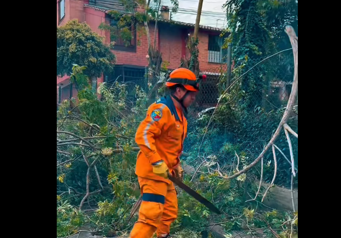 Intervención de embellecimiento fortalece el |espacio público| en |Íbaro II| en el municipio de |Chía| + Video