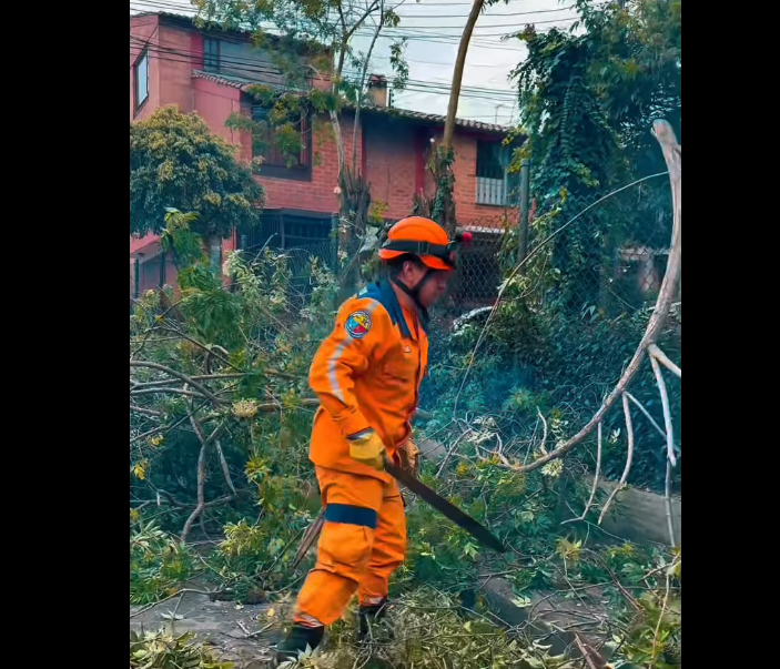 Intervención de embellecimiento fortalece el |espacio público| en |Íbaro II| en el municipio de |Chía| + Video