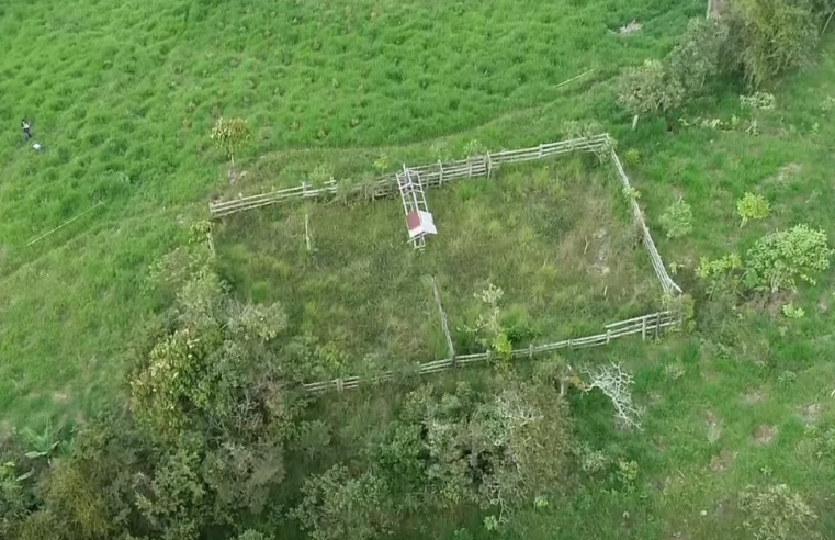 |CAR| realiza monitoreo masivo de árboles para garantizar |compensaciones ambientales| + Video