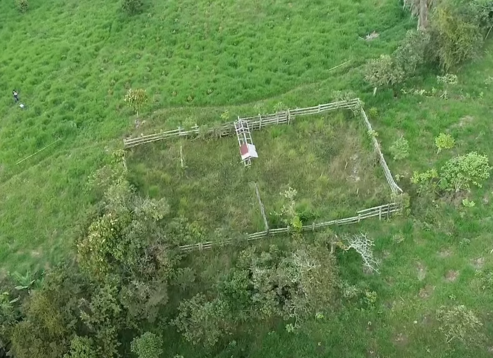 |CAR| realiza monitoreo masivo de árboles para garantizar |compensaciones ambientales| + Video