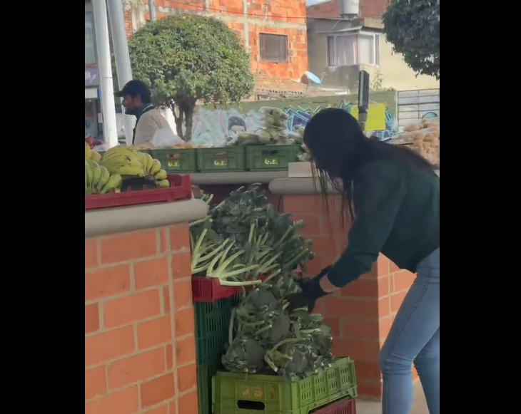 |Cajicá| promueve la sostenibilidad con |feria educativa| sobre el cuidado del entorno + Video