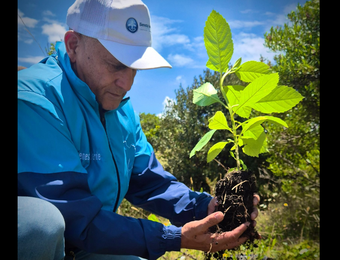 |Cundinamarca| fortalece la agroecología con formación y |siembra de árboles| en |Sibaté|