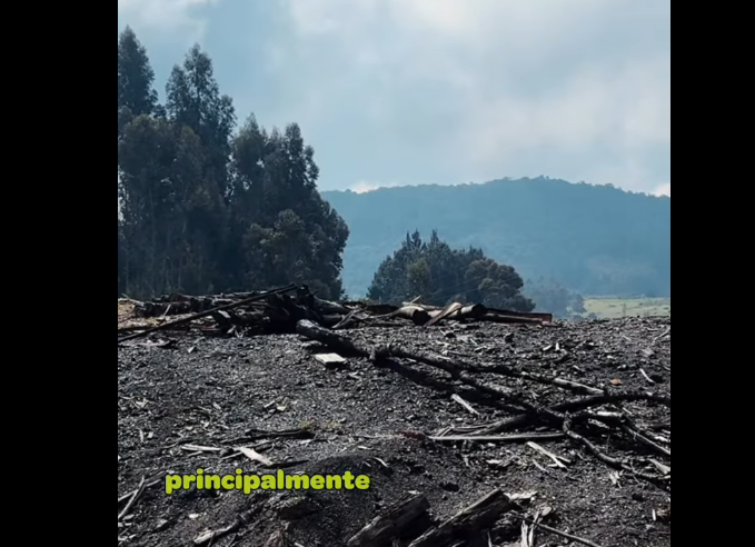 |Minería ilegal| genera graves impactos ambientales y sociales en las comunidades + Video