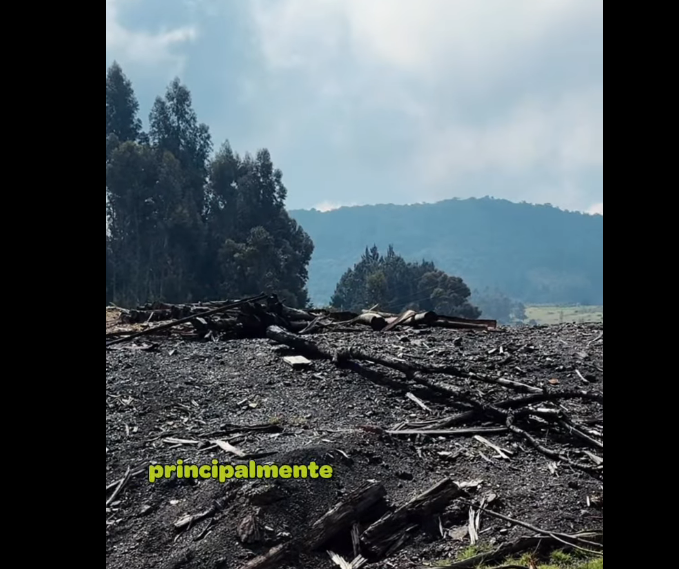 |Minería ilegal| genera graves impactos ambientales y sociales en las comunidades + Video