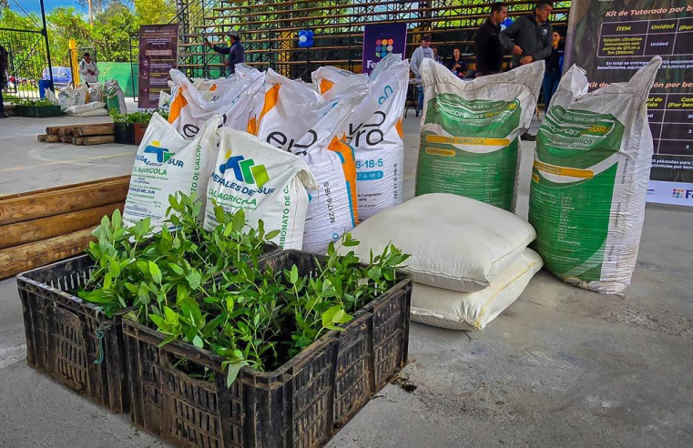 Más de $600 millones fortalecerán la |producción| de |fríjol| en Gutiérrez