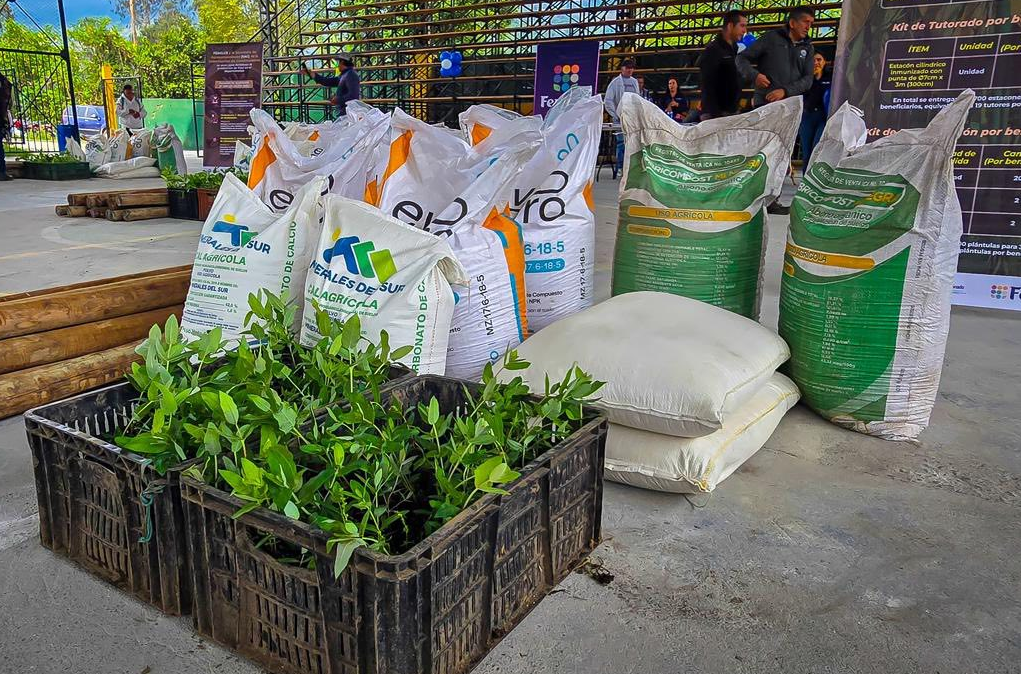 Más de $600 millones fortalecerán la |producción| de |fríjol| en Gutiérrez