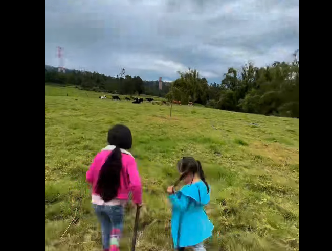 |Nemocón| exaltó la infancia en la celebración del |Día del Niño| + Video