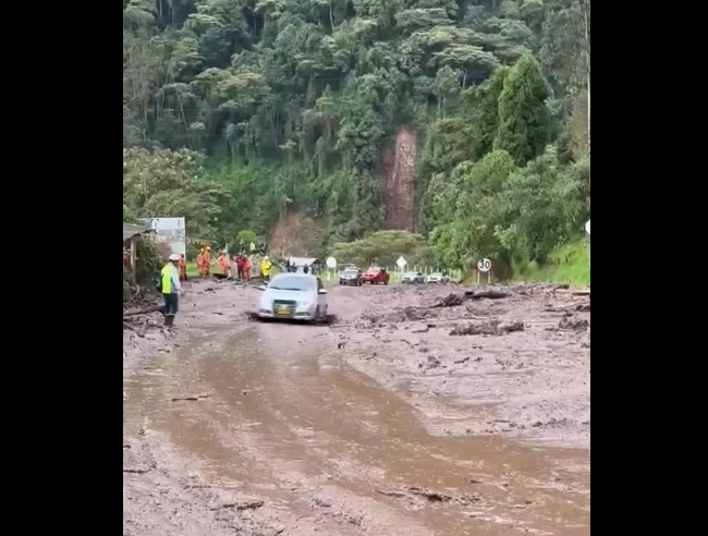 |Evacúan vehículos| atrapados entre |derrumbes| en |Curubital| y continúan labores de remoción