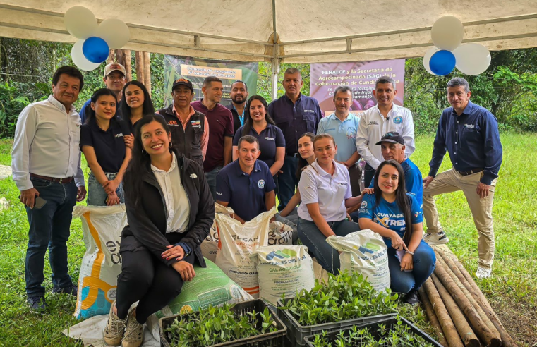 Más de $228 millones fortalecen a productores de |fríjol| en |Guayabetal| y |Fosca|
