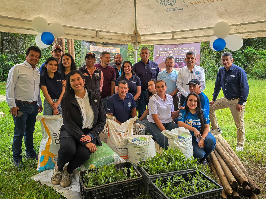 Más de $228 millones fortalecen a productores de |fríjol| en |Guayabetal| y |Fosca|