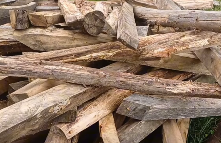 Autoridades frenaron |tala ilegal| en |Soacha| y evitaron producción de |carbón vegetal| + Video