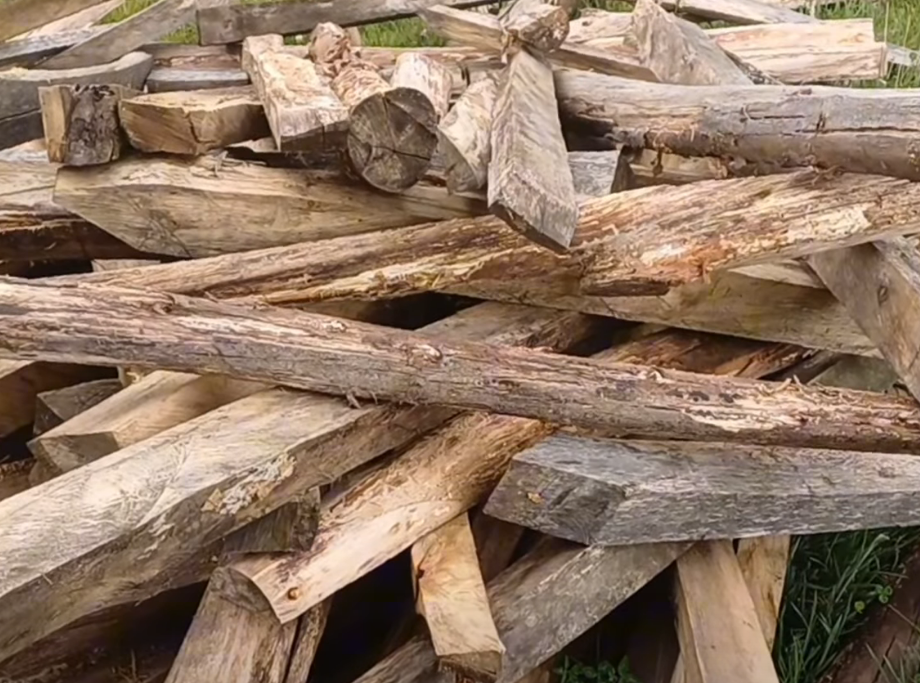 Autoridades frenaron |tala ilegal| en |Soacha| y evitaron producción de |carbón vegetal| + Video