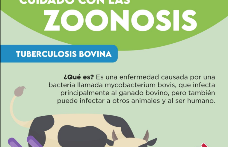 Autoridades alertan sobre la |tuberculosis bovina| y refuerzan medidas de |prevención|