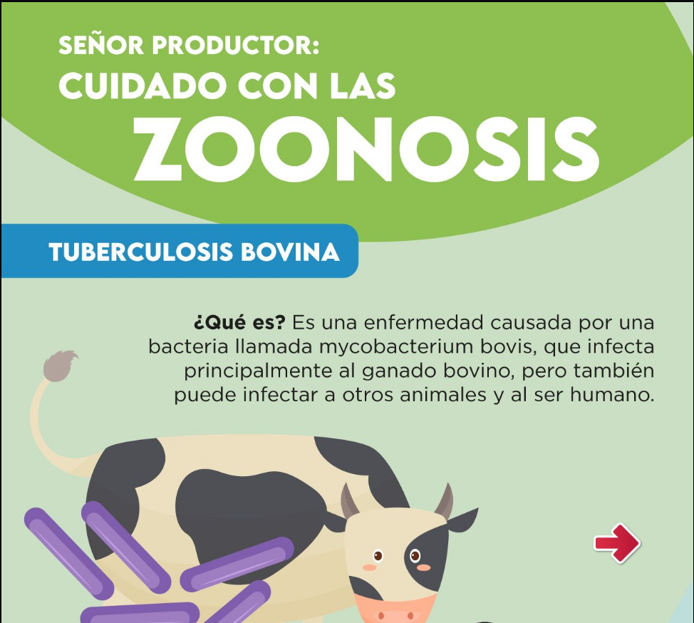Autoridades alertan sobre la |tuberculosis bovina| y refuerzan medidas de |prevención|