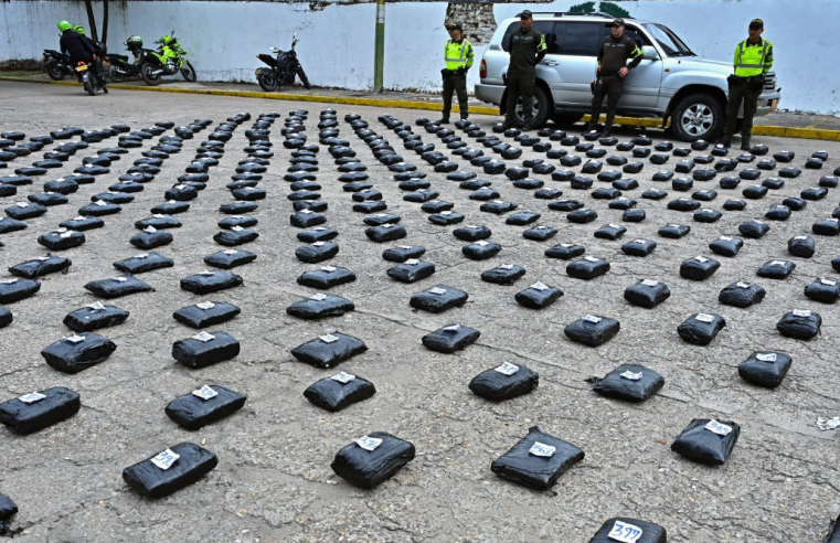 Autoridades incautan 412 kilos de |marihuana| en operativo en |Ricaurte| + Video