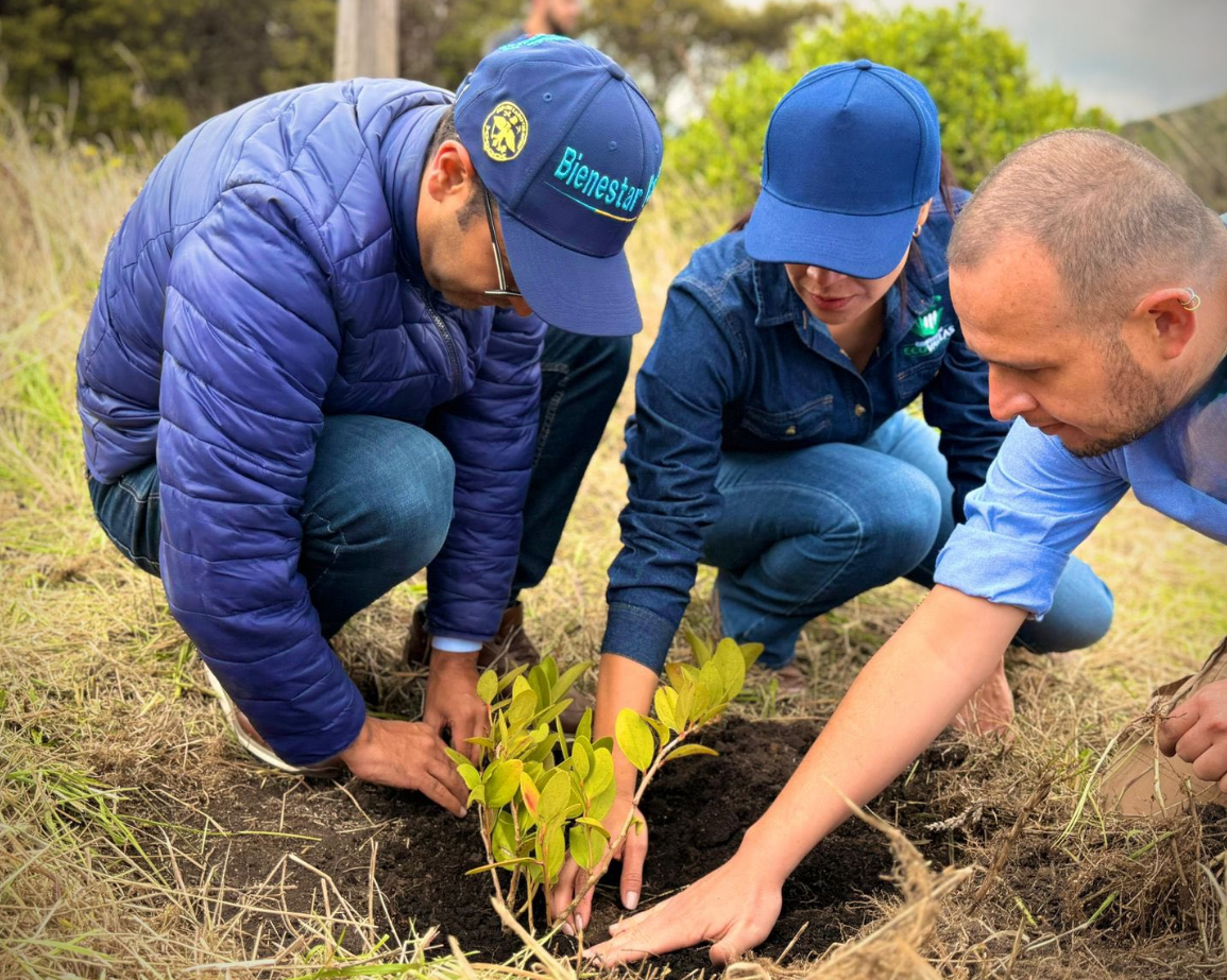 |Cundinamarca| invertirá más de $810 millones en |restauración de páramos| y |protección hídrica|