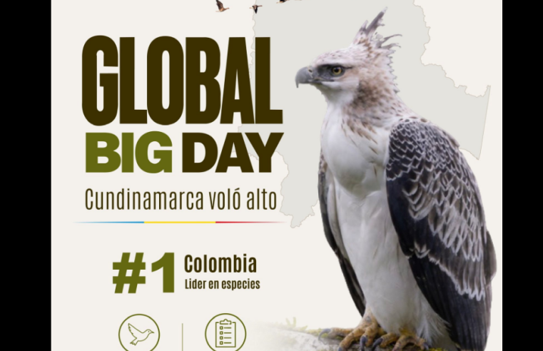 |Cundinamarca| destacó participación de comunidades y organizaciones en el |Global Big Day| 2026
