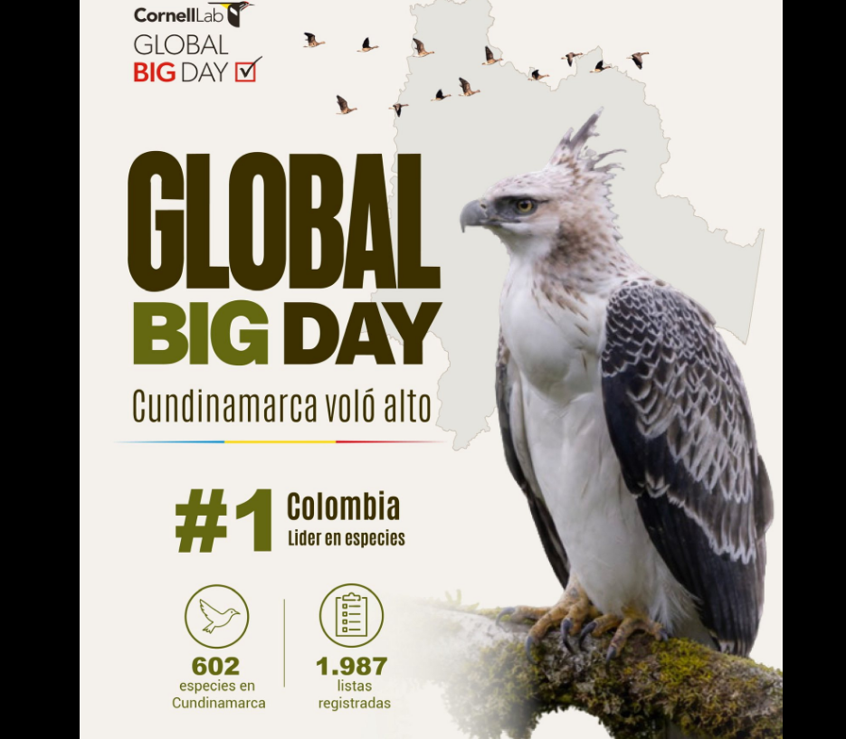 |Cundinamarca| destacó participación de comunidades y organizaciones en el |Global Big Day| 2026