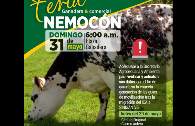|Nemocón| realizará |Feria Ganadera| y Comercial el próximo 31 de mayo
