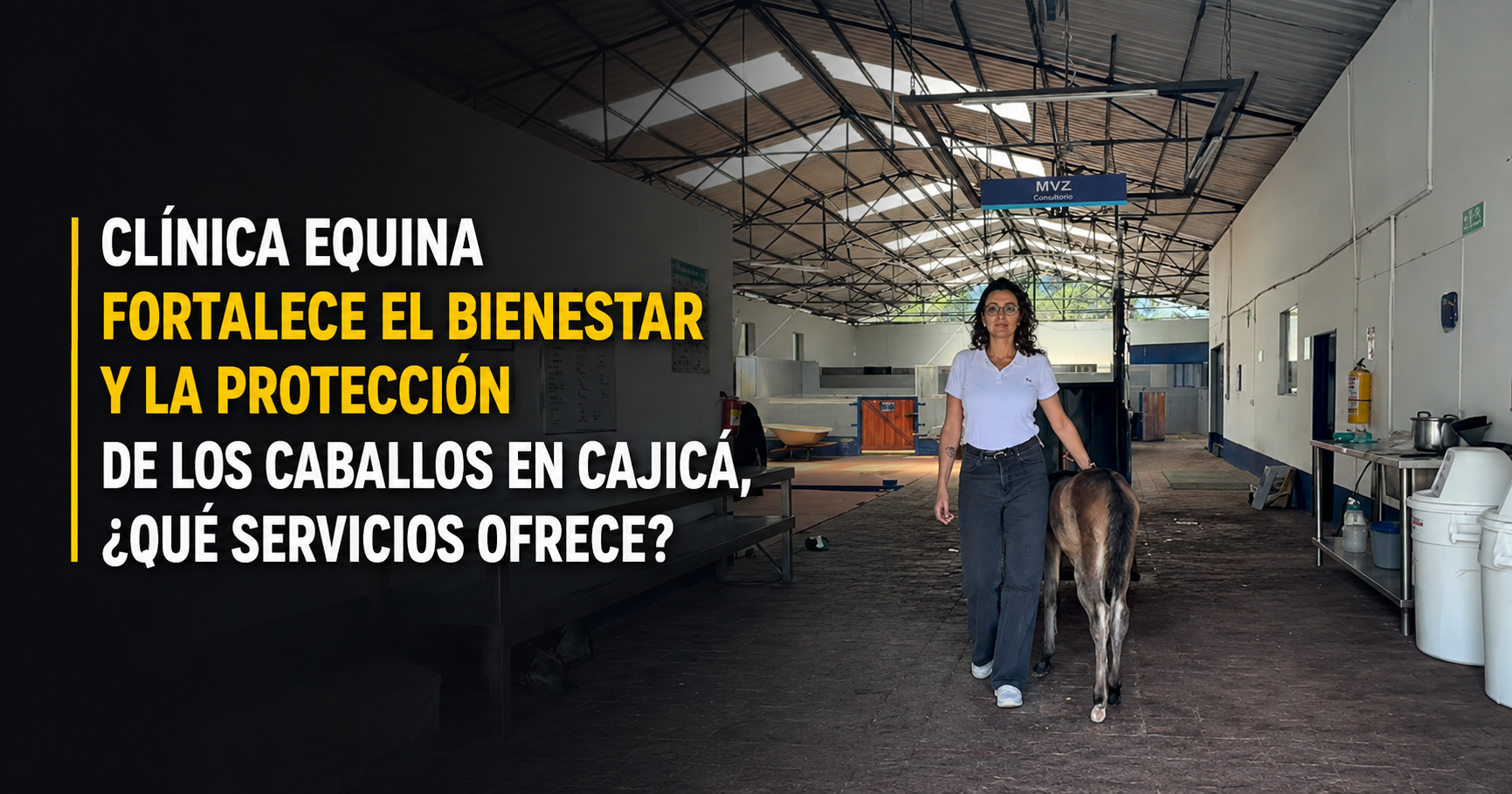 🐴💚 Clínica Equina fortalece el bienestar y la protección de los caballos en Cajicá, ¿qué servicios ofrece? + Video