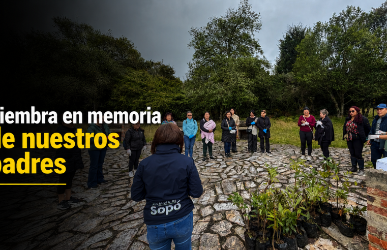 🌳💙 |Sopó| rindió homenaje a los padres fallecidos con siembra de árboles en |Pionono|, ¿qué significado tuvo la jornada?