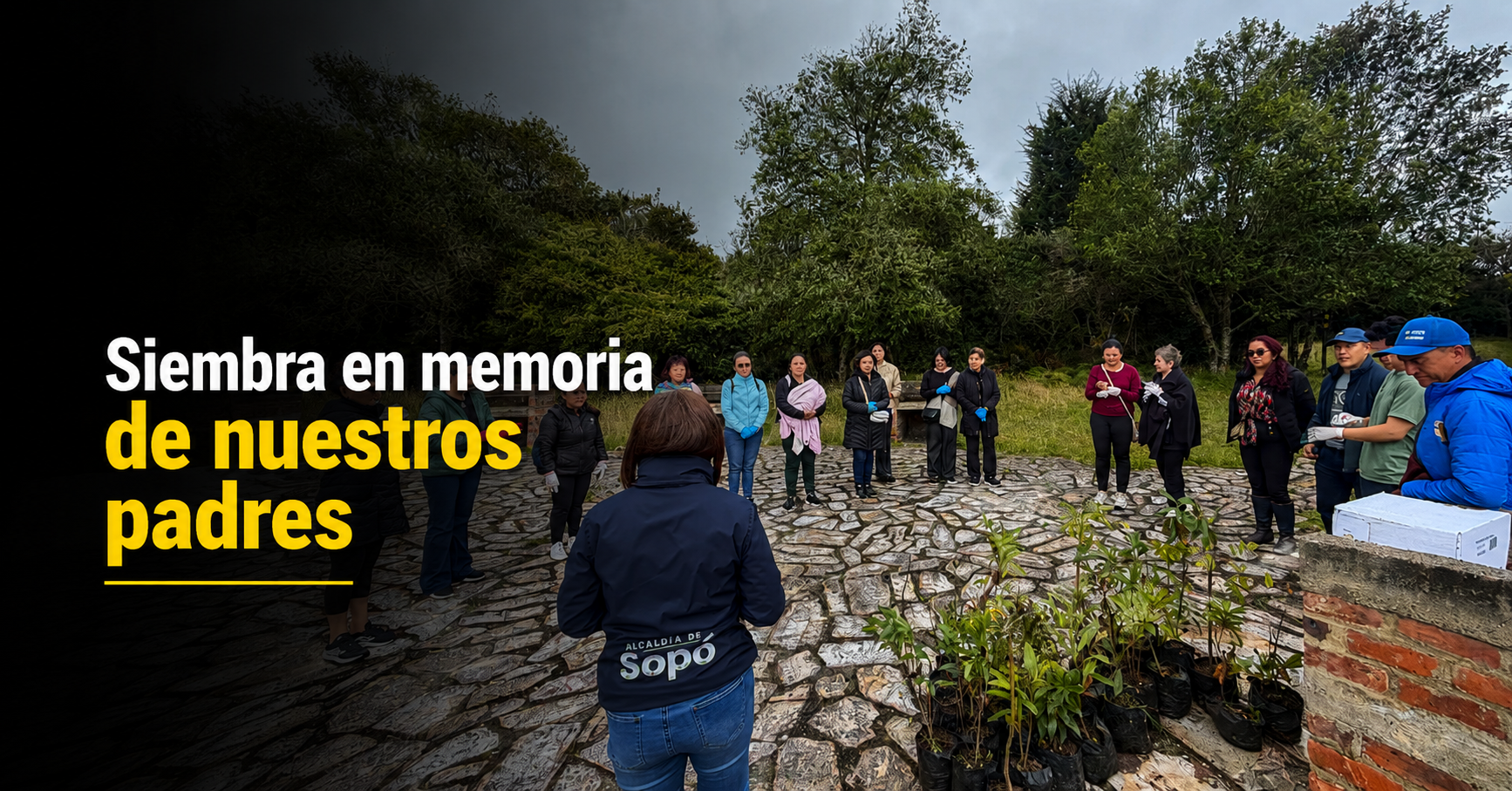 🌳💙 |Sopó| rindió homenaje a los padres fallecidos con siembra de árboles en |Pionono|, ¿qué significado tuvo la jornada?