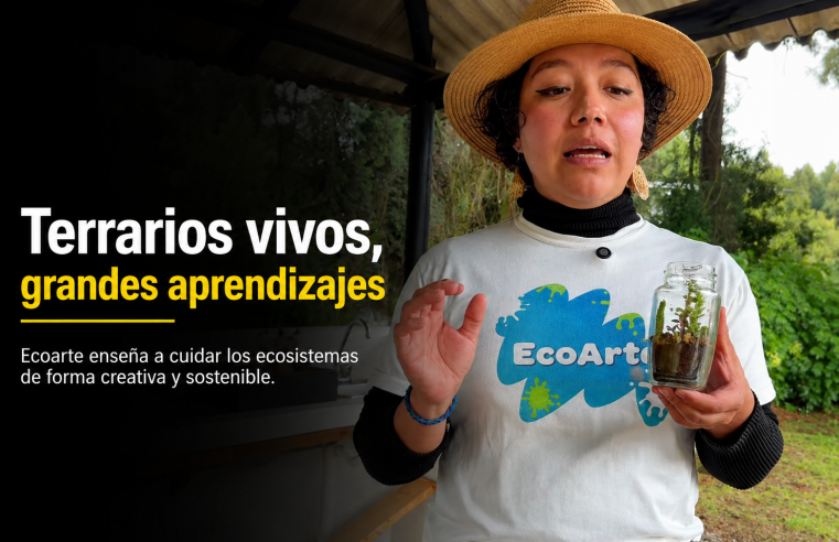 🌿🌱 |Ecoarte| enseña sobre el cuidado de los ecosistemas a través de |terrarios| vivos, ¿qué aprendizajes deja esta experiencia? + Video
