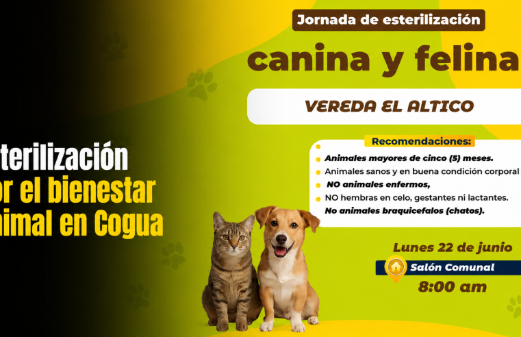🐶🐱 |Cogua| realizará jornada de esterilización para promover el |bienestar animal|, ¿quiénes pueden participar?