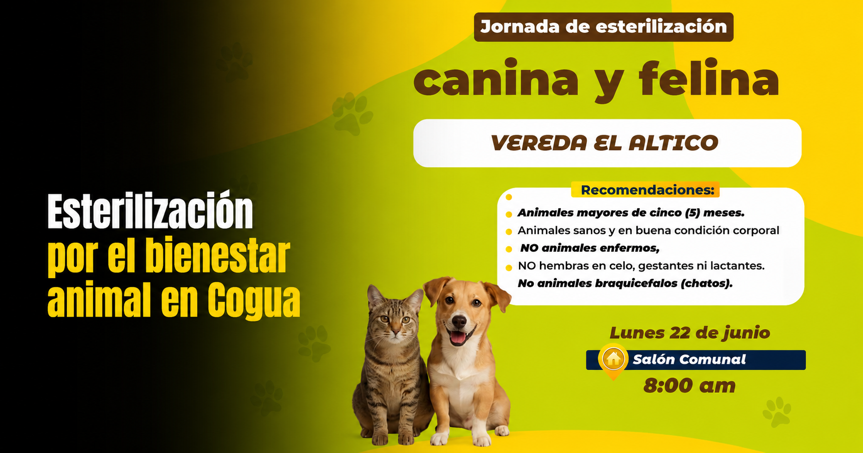 🐶🐱 |Cogua| realizará jornada de esterilización para promover el |bienestar animal|, ¿quiénes pueden participar?