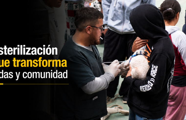 🐾🐶 Jornada de |esterilización| fortaleció el bienestar animal en El Altico, ¿cómo beneficia a la comunidad?