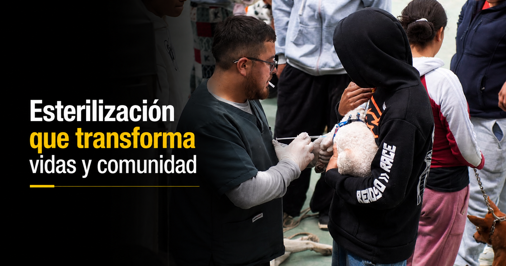 🐾🐶 Jornada de |esterilización| fortaleció el bienestar animal en El Altico, ¿cómo beneficia a la comunidad?
