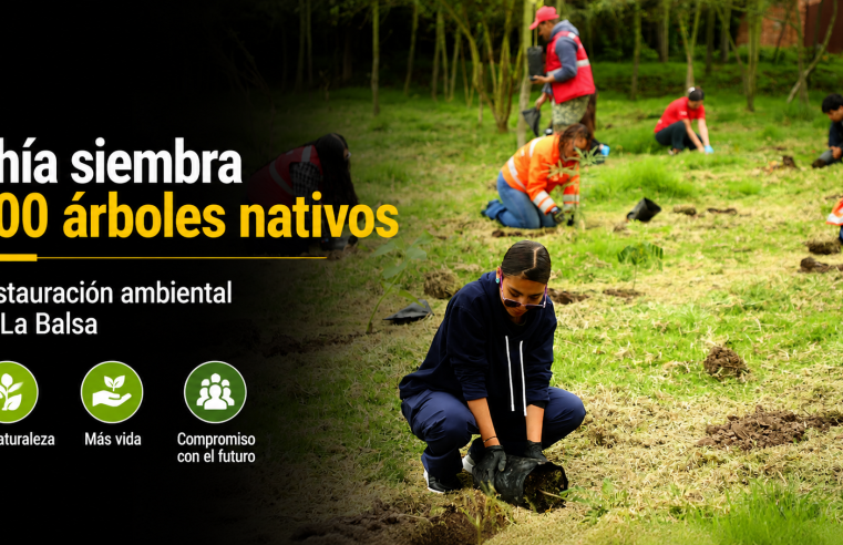 🌱🌳 |Chía| avanza en restauración ambiental con siembra de 300 |árboles nativos| en La Balsa, ¿qué busca la jornada?
