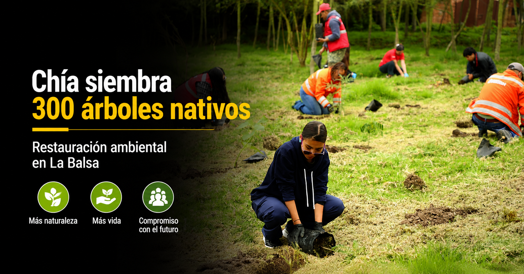 🌱🌳 |Chía| avanza en restauración ambiental con siembra de 300 |árboles nativos| en La Balsa, ¿qué busca la jornada?