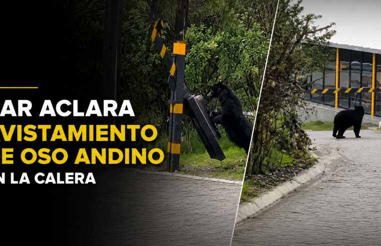 |CAR| aclara avistamiento de |oso andino| en |La Calera| y hace llamado a informar con responsabilidad + Video