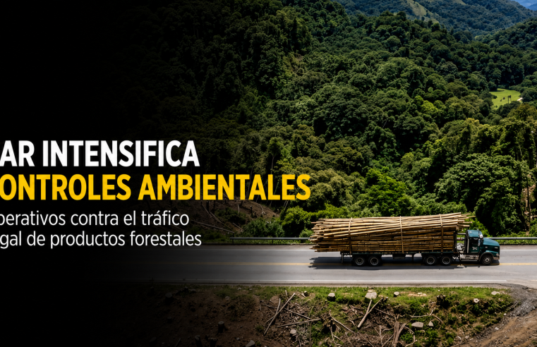 🌳 |CAR| intensifica controles ambientales, ¿qué hallaron los operativos en Cundinamarca?