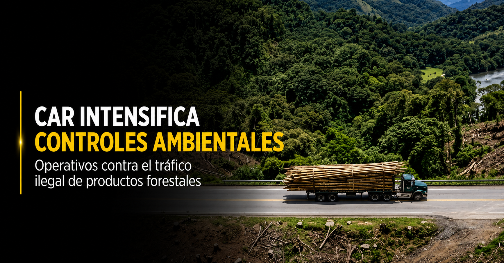 🌳 |CAR| intensifica controles ambientales, ¿qué hallaron los operativos en Cundinamarca?