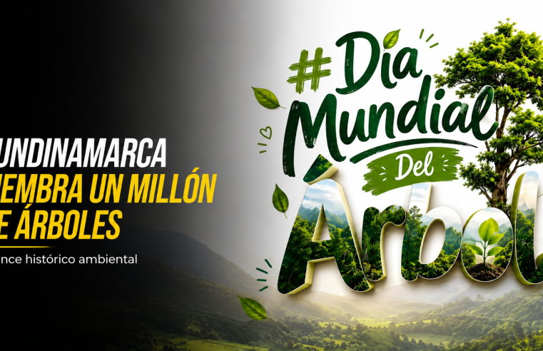 🌳💚 |Cundinamarca| alcanza un millón de árboles sembrados, ¿qué representa este logro ambiental?