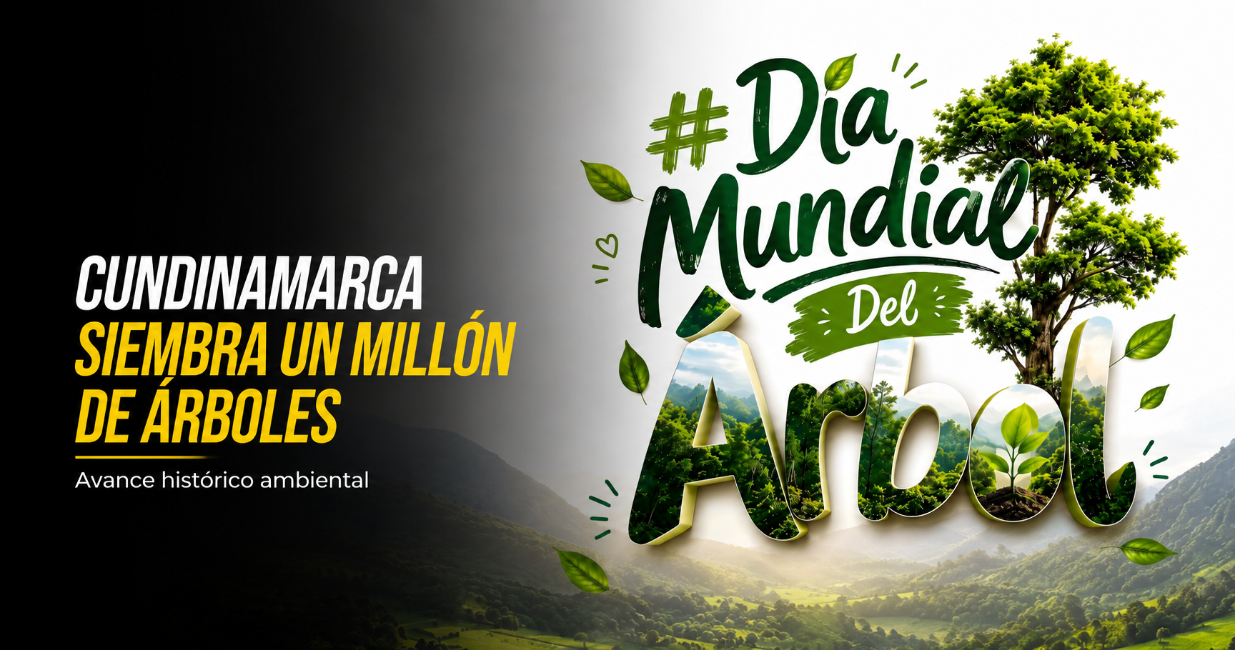 🌳💚 |Cundinamarca| alcanza un millón de árboles sembrados, ¿qué representa este logro ambiental?