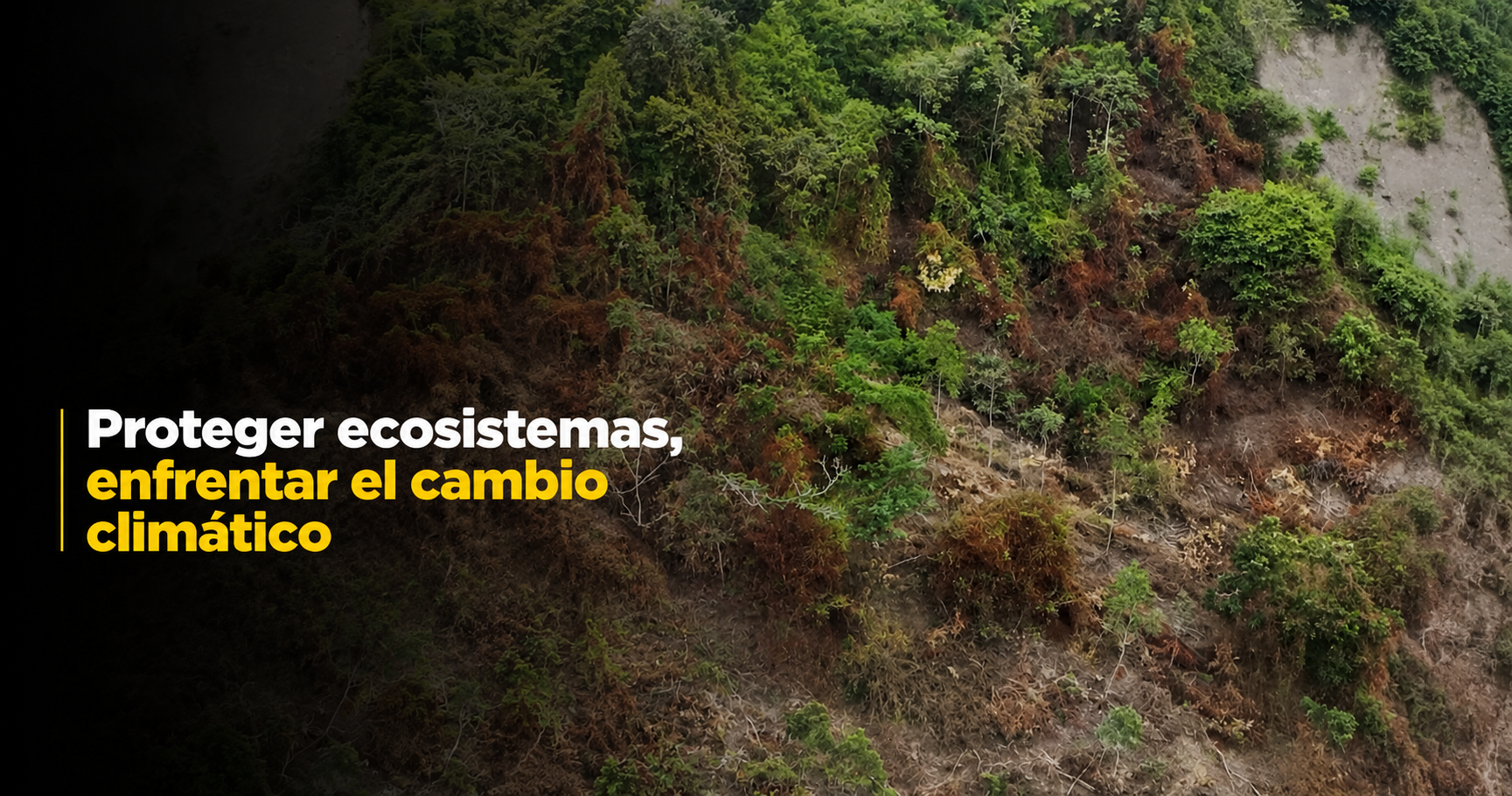 🌎🌱 Proteger los |ecosistemas| es una prioridad, ¿cómo enfrentar los efectos del |cambio climático|? + Video