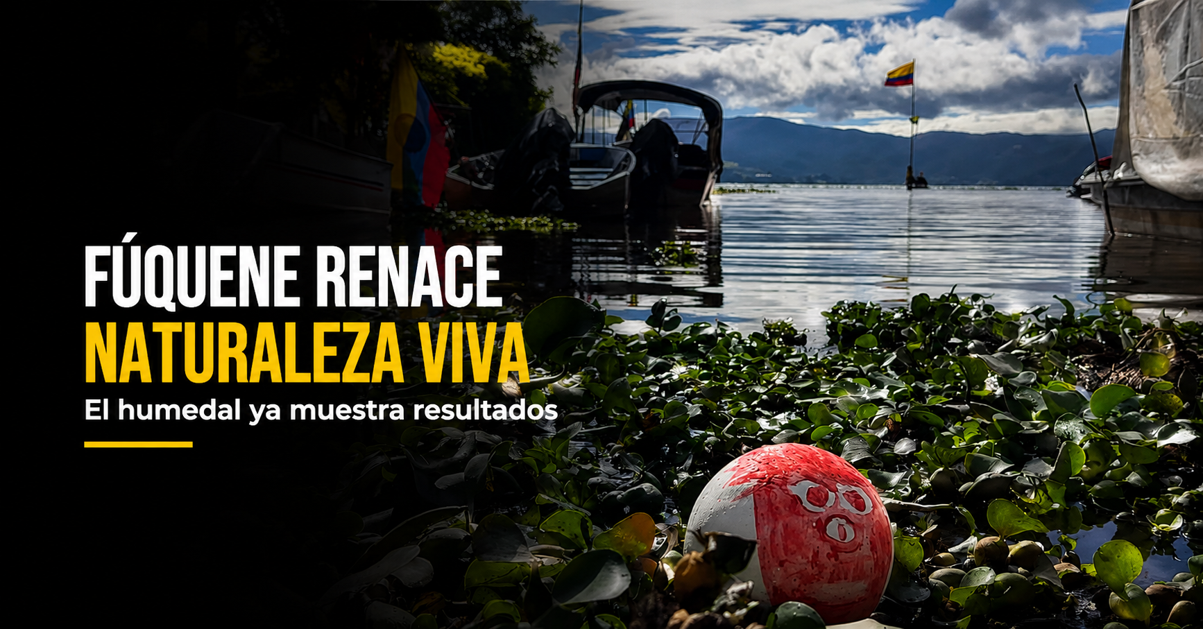 🦆🌿 ¿La naturaleza renace en |Fúquene|? La recuperación del humedal ya muestra resultados + Video