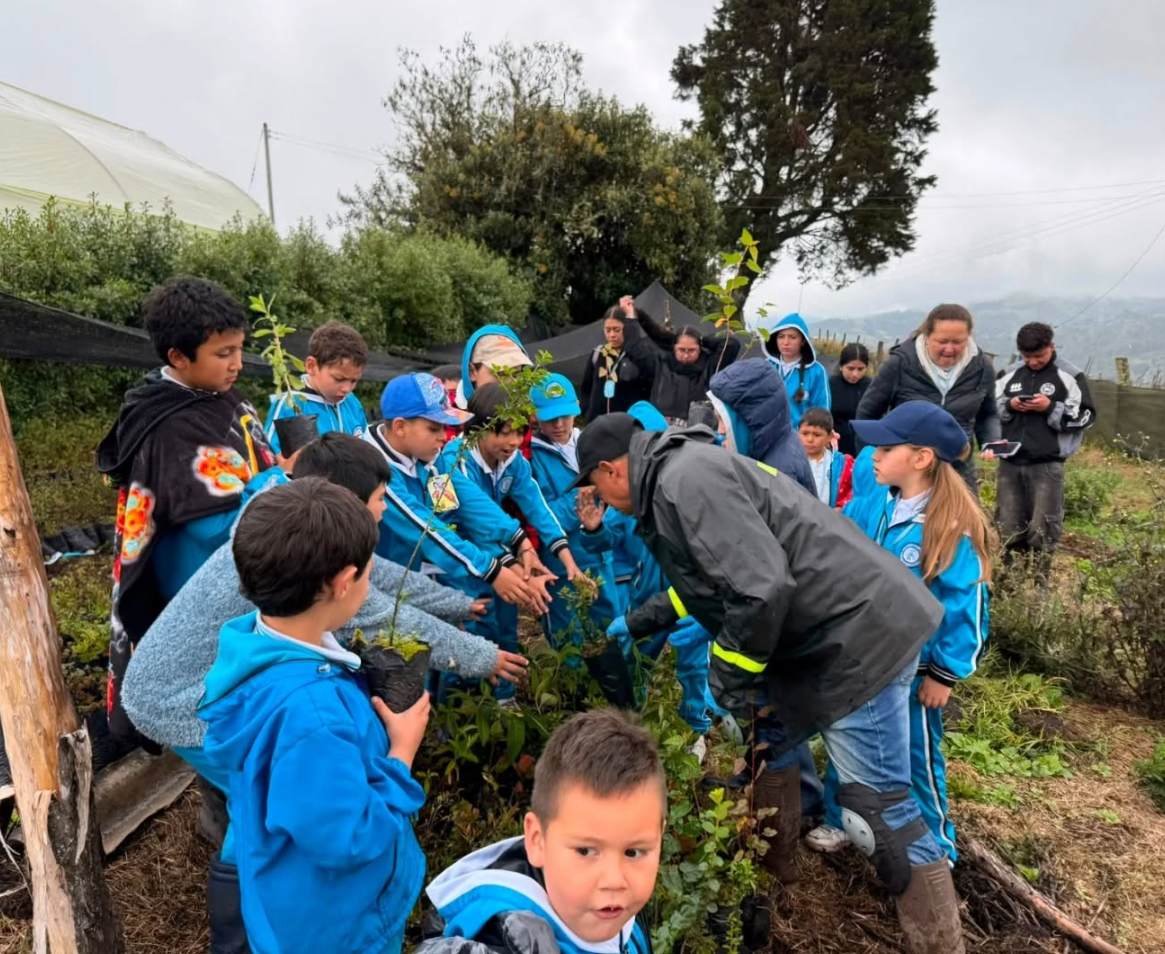 Jornada de |siembra de árboles| fortalece la protección ambiental en |Cogua|