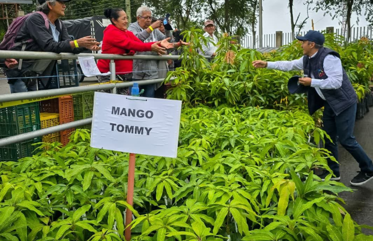 780 familias campesinas de |Anolaima| reciben apoyo para fortalecer la |producción frutícola|