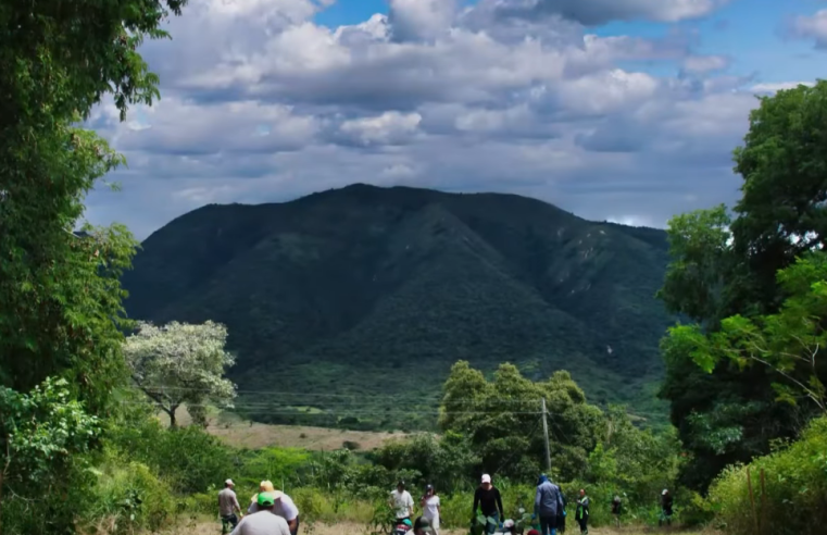 Más de 1,8 millones de árboles fortalecen la |seguridad hídrica| y la restauración ambiental en la región |CAR| + Video