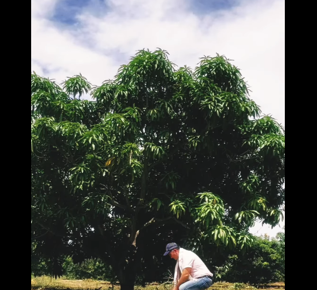 |Cundinamarca| rinde homenaje a los campesinos por su aporte al desarrollo y la seguridad alimentaria