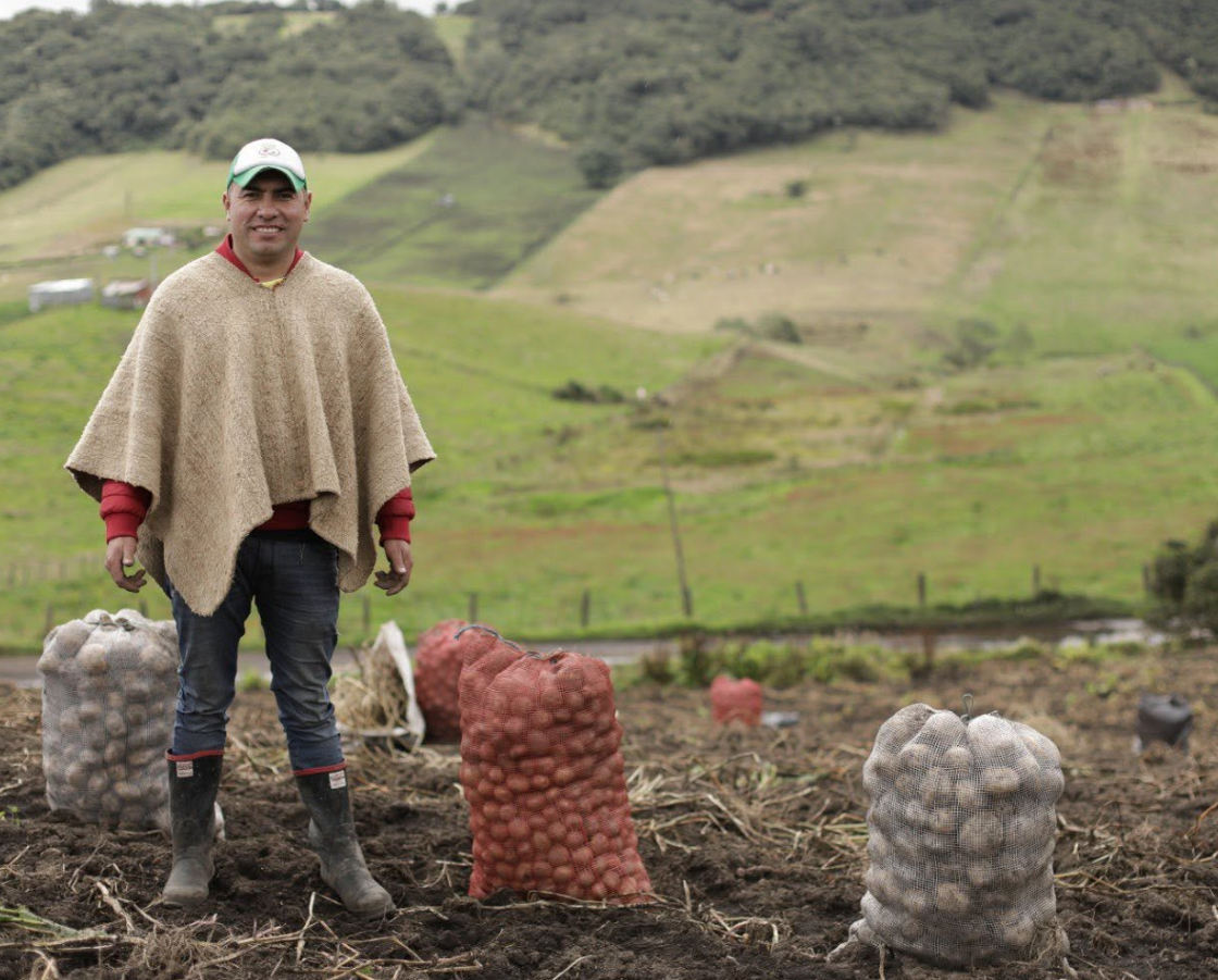 |Cundinamarca| destaca inversiones por más de $47.000 millones para fortalecer el campo y apoyar a los |productores rurales|