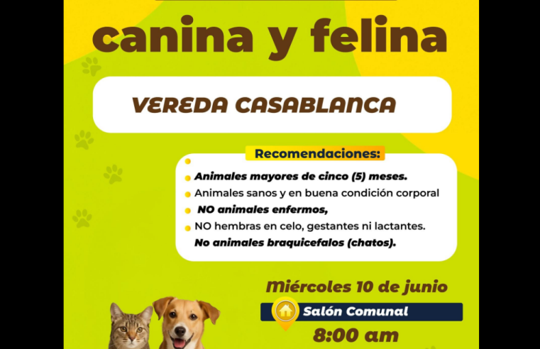 |Cogua| invita a participar en jornada de esterilización para |perros| y |gatos|