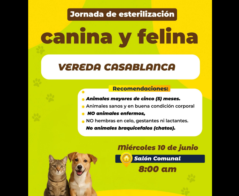 |Cogua| invita a participar en jornada de esterilización para |perros| y |gatos|