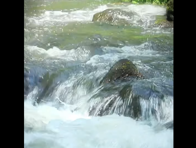 |CAR| invita a celebrar el |Día del Padre| con experiencias de naturaleza y aprendizaje + Video